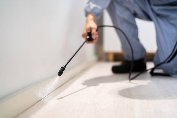 Certified termite inspector examining foundation in Red Lake